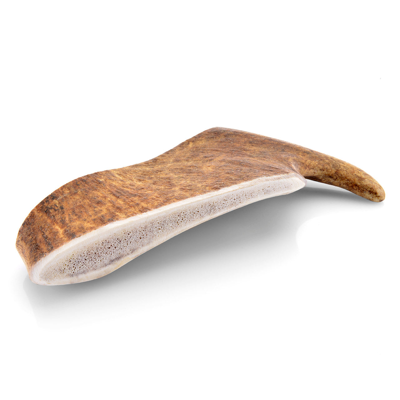 Bois de daim