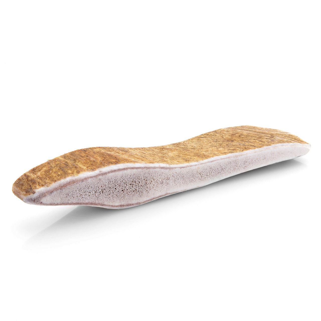 Bois de daim