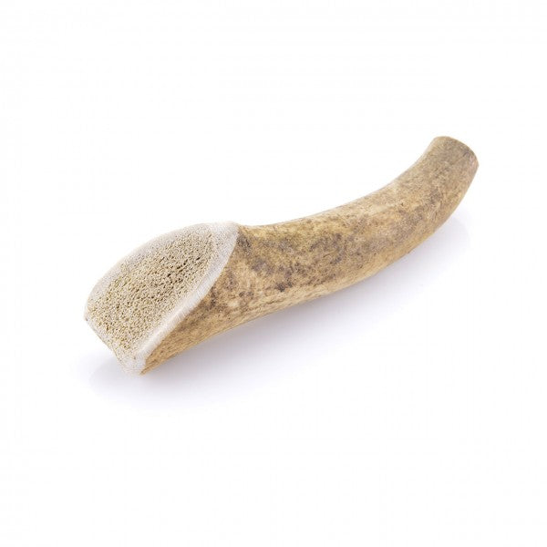 Bois de cerf pour chien (entier)