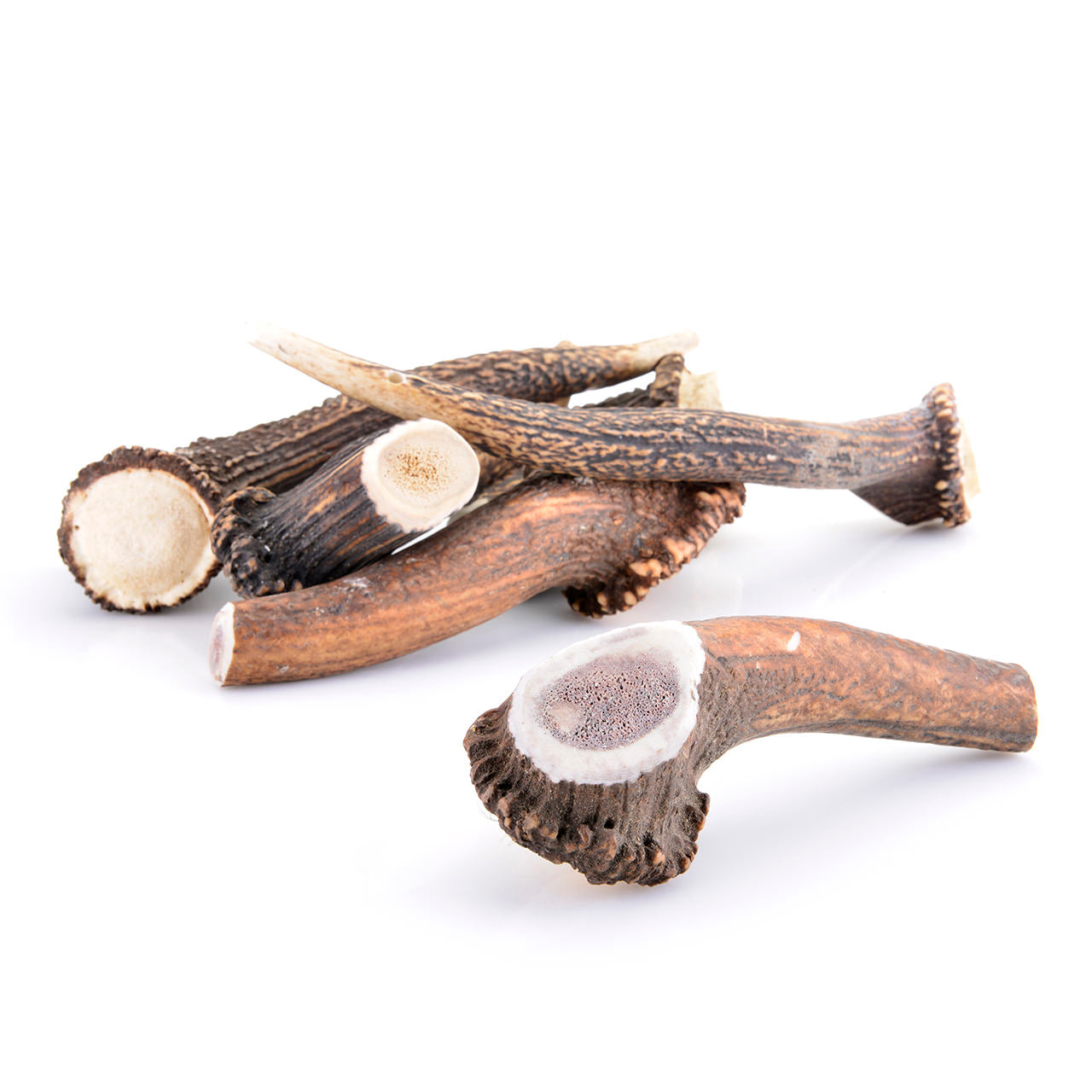 Bois de cerf - Entier