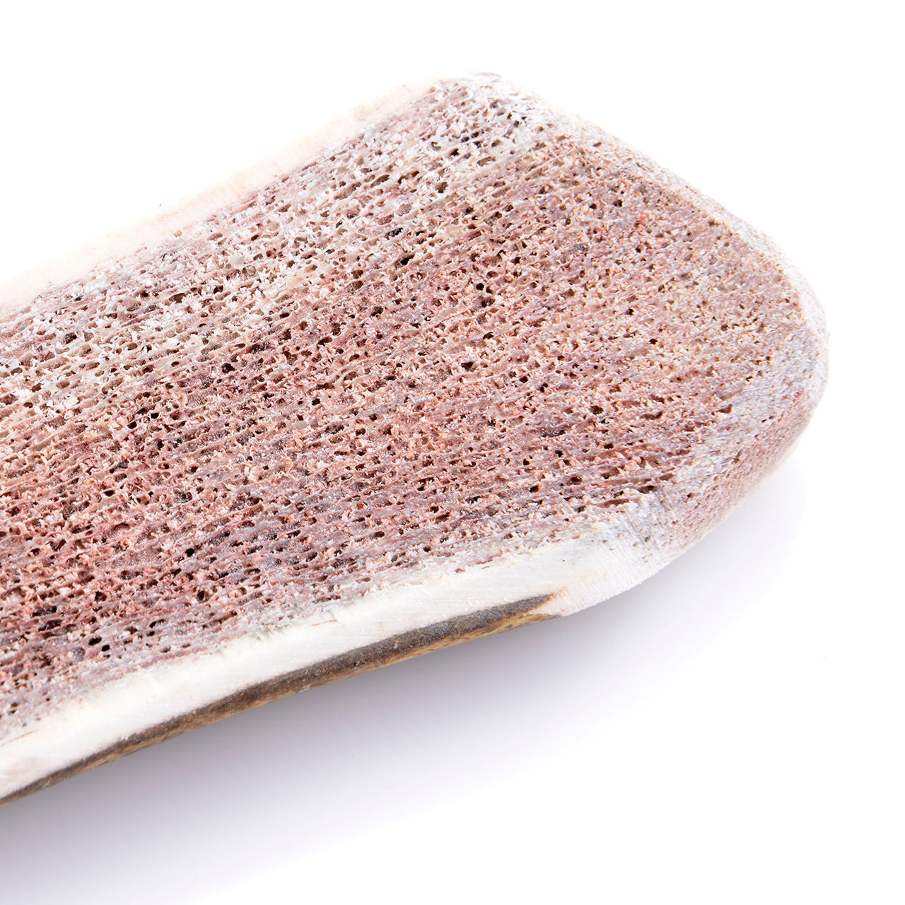 Bois de cerf - Tranché