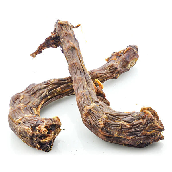 Cou d'oie pour chien