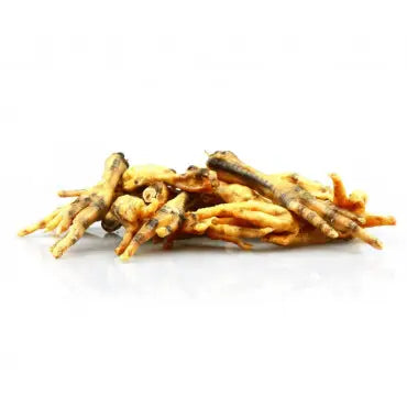 Pattes de poulet pour chien