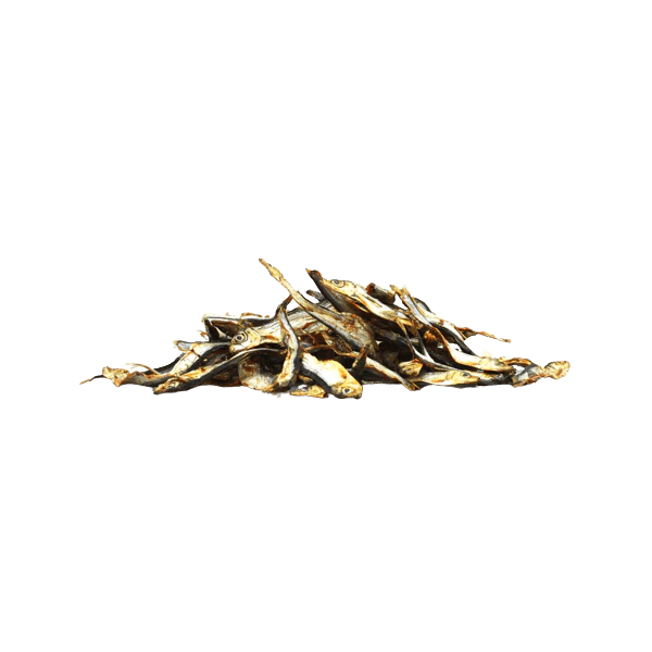 Sprats (anchois de norvège)