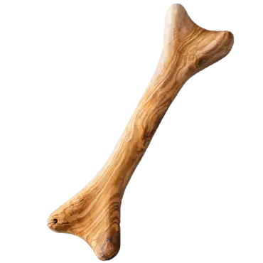 Bâton bois d'olivier pour chien (en forme d'os)