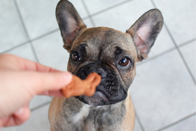 friandises sans céréales pour chien