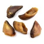 sabot_de_veau_chien_5pcs.jpg