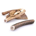 Bois de cerf entier taille XL pour chien