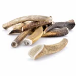 Plusieurs bois de cerf entiers pour chien de différentes tailles