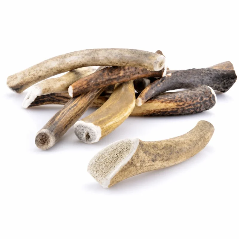 Plusieurs bois de cerf entiers pour chien de différentes tailles