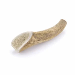 Bois de cerf - Entier