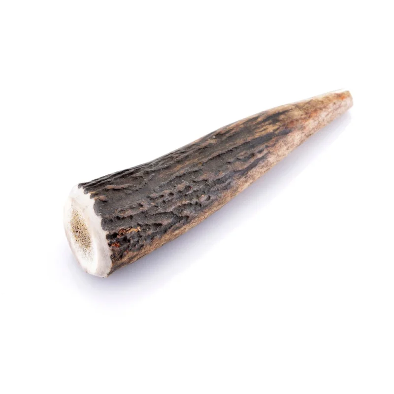 Bois de cerf entier taille S pour chien