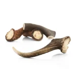 Bois de cerf entier taille XXXL pour chien