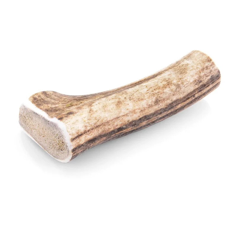Bois de cerf entier taille L pour chien