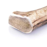 Bois de cerf entier taille L - gros plan pour chien