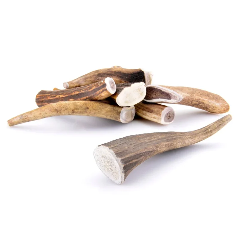 Bois de cerf entier taille M pour chien