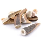 Bois de cerf entier - comparatif des tailles pour chien