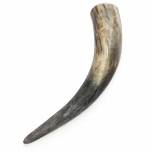 Corne de Vache