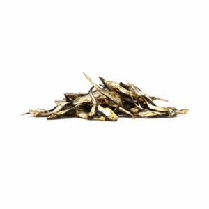 Sprats anchois de Norvège pour chien