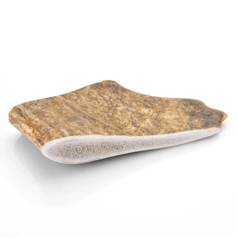 Bois de daim taille L pour chien