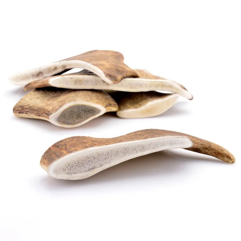Bois de daim taille M pour chien