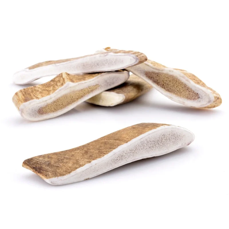 Bois de daim taille XS pour chien