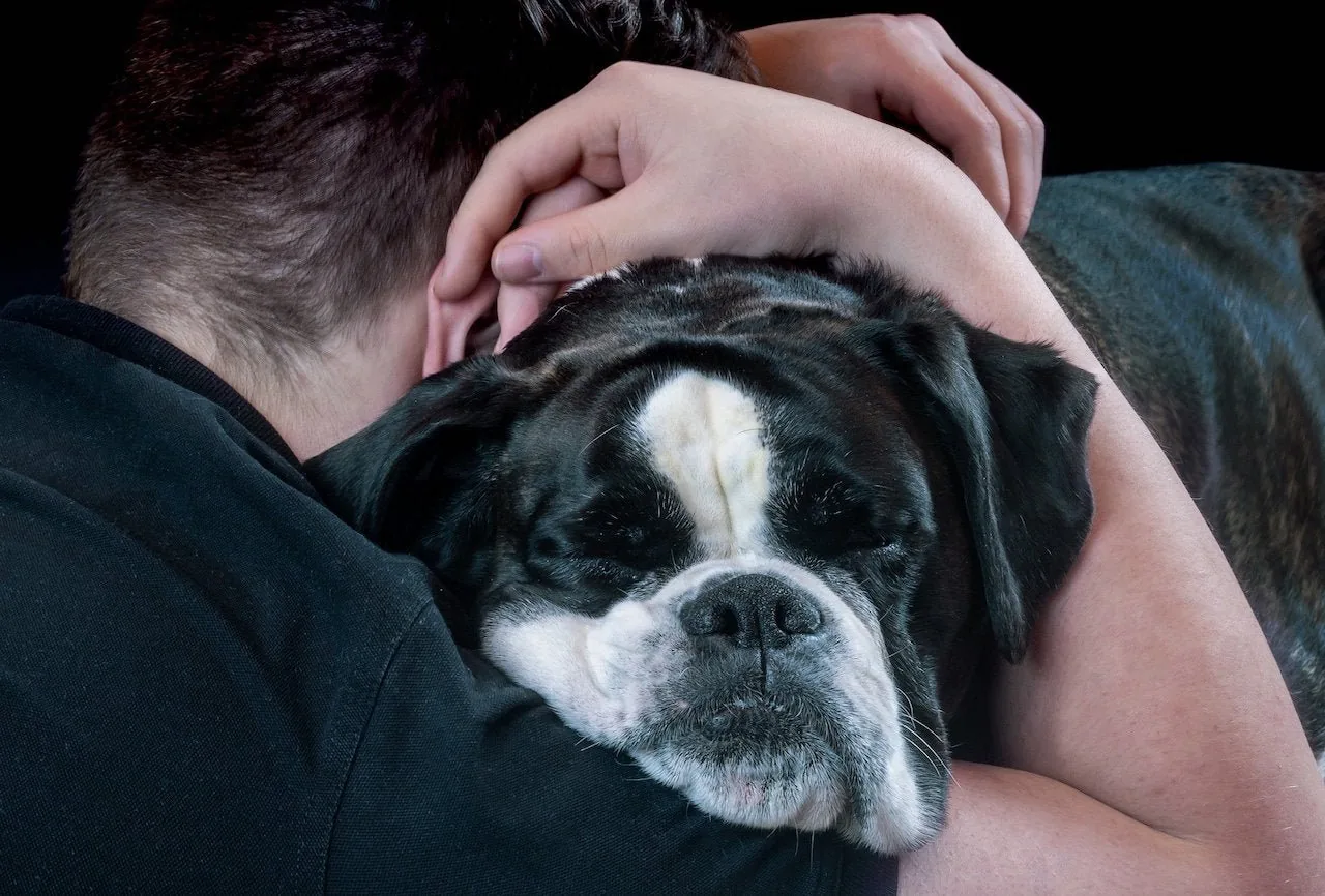 faire un câlin à son chien