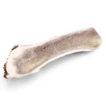 Bois de cerf tranché taille M pour chien