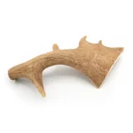 Bois de daim taille XXL pour chien