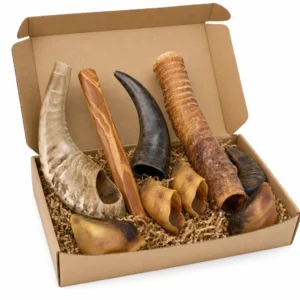 Box mastication anti ennui Capitaine Croq ouverte : corne de mouton, bâton de bois d'olivier, corne de buffle, trachée de bœuf et 5 sabots de veau