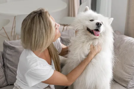 câliner son chien