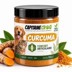Pot de 100 g de curcuma en poudre pour chien et chat Capitaine Croq