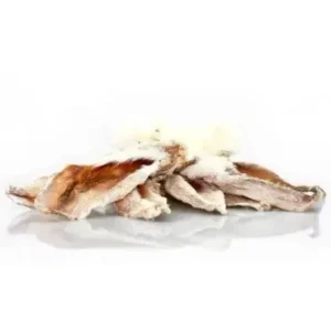 Oreilles de lapin pour chien