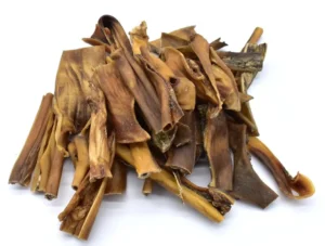 Peau de chameau pour chien
