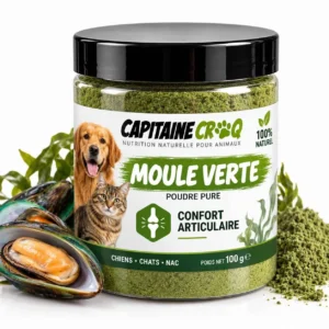 Pot de 100 g de poudre de moule verte pure pour chien et chat Capitaine Croq