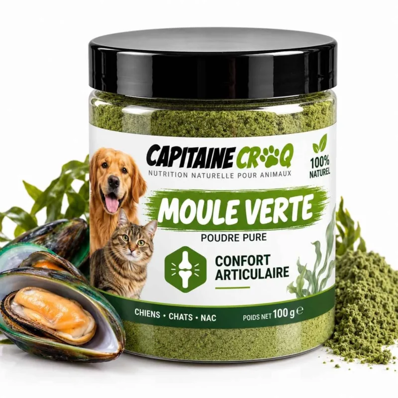 Pot de 100 g de poudre de moule verte pure pour chien et chat Capitaine Croq